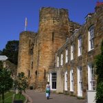 Tonbridge removals