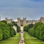 Windsor removals