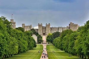 Windsor removals